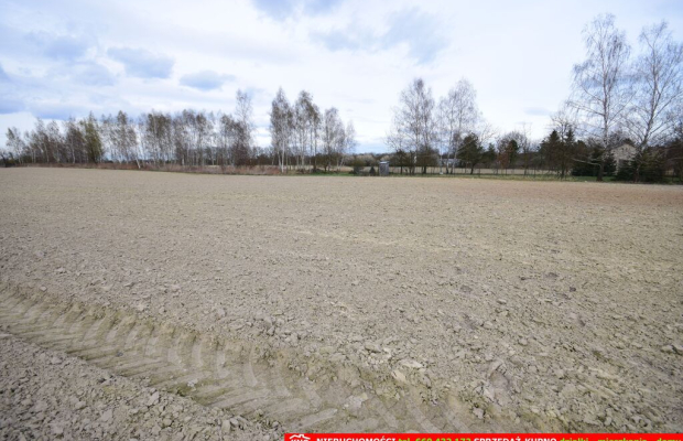 Atrakcyjne działki blisko Lublina i lasu i rzeki.