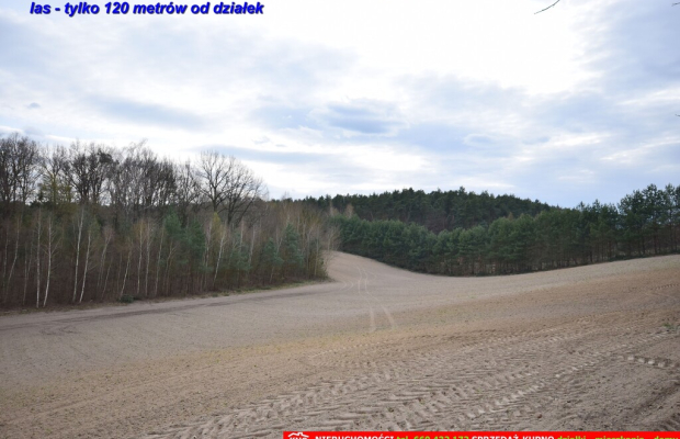 Atrakcyjne działki blisko Lublina i lasu i rzeki.