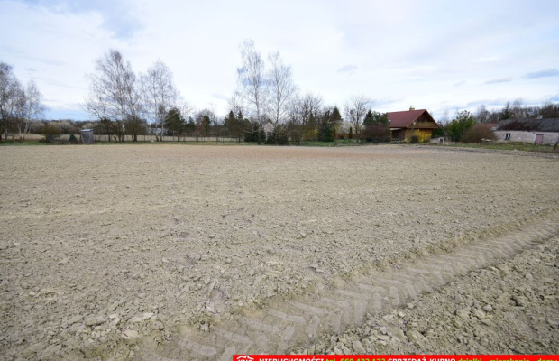 Atrakcyjne działki blisko Lublina i lasu i rzeki.