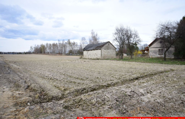 Atrakcyjne działki blisko Lublina i lasu i rzeki.