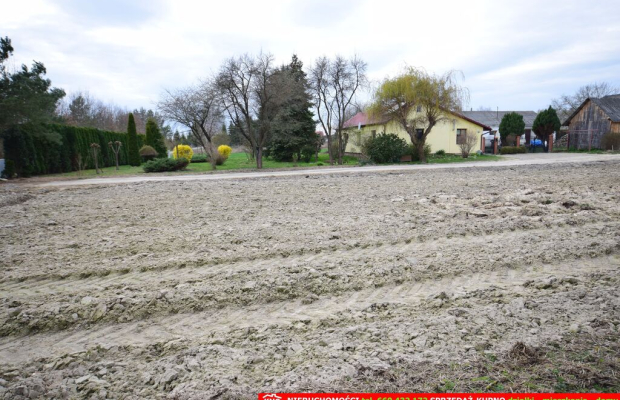Atrakcyjne działki blisko Lublina i lasu i rzeki.