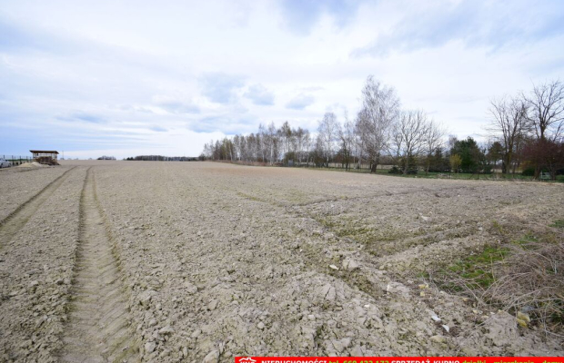 Atrakcyjne działki blisko Lublina i lasu i rzeki.
