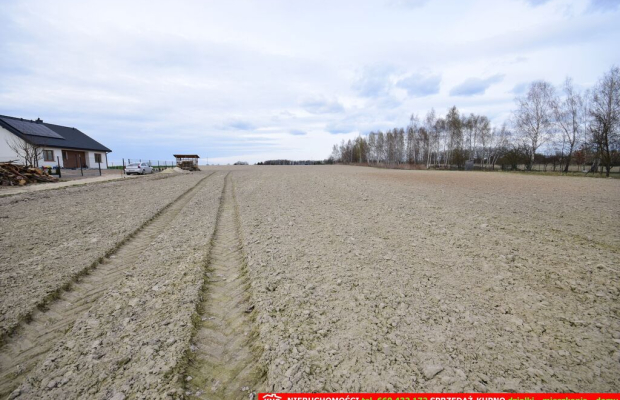 Atrakcyjne działki blisko Lublina i lasu i rzeki.