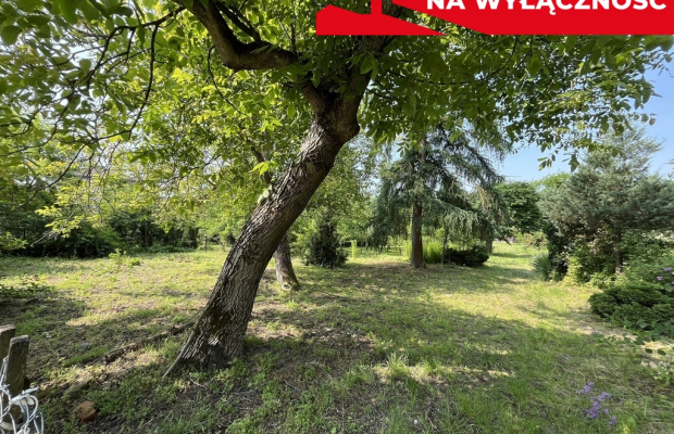 Działka 0,21 ha w Kaliszanach Kolonii gm. Józefów.