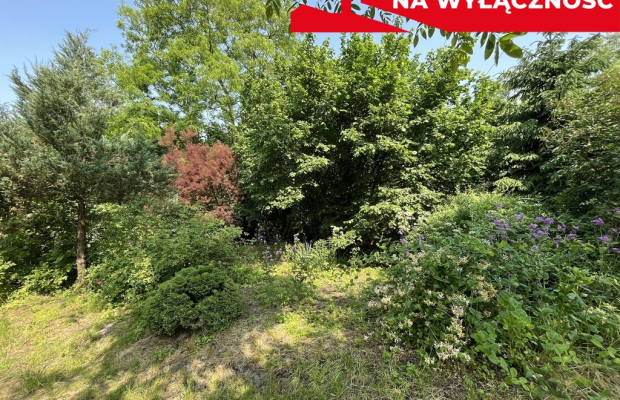 Działka 0,21 ha w Kaliszanach Kolonii gm. Józefów.