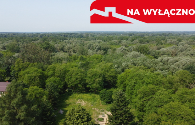 Działka 0,21 ha w Kaliszanach Kolonii gm. Józefów.