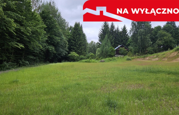 Działka Nałęczów, 14 ar, jednorodzinna, media