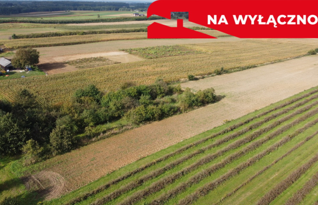 Działka, Motycz, 8.5ar, budownictwo jednorodzinne