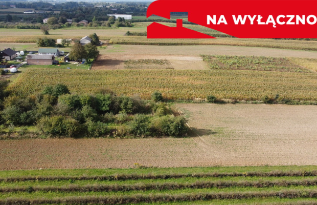 Działka, Motycz, 8.5ar, budownictwo jednorodzinne