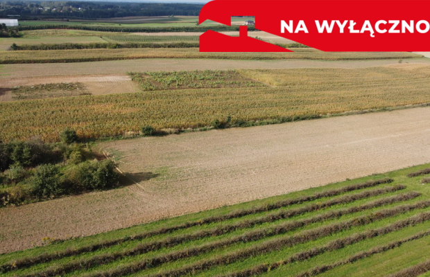 Działka, Motycz, 8.5ar, budownictwo jednorodzinne