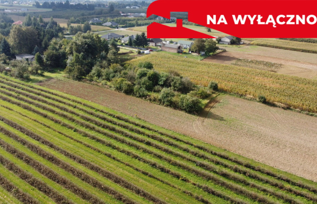 Działka, Motycz, 8.5ar, budownictwo jednorodzinne