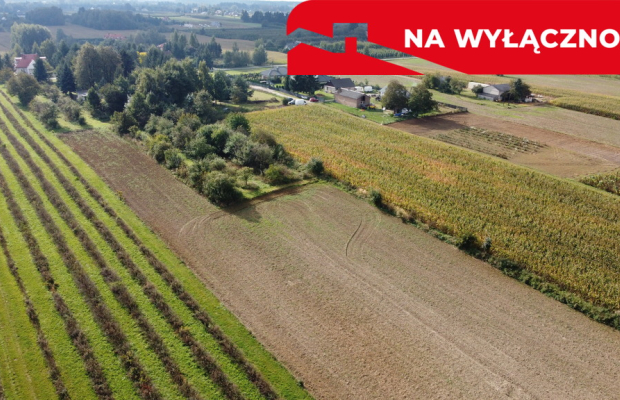 Działka, Motycz, 8.5ar, budownictwo jednorodzinne