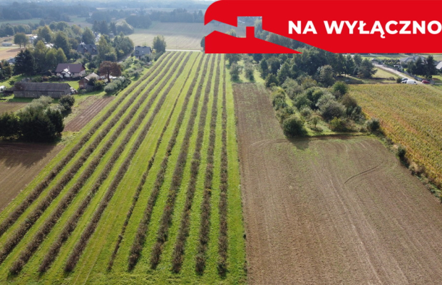 Działka, Motycz, 8.5ar, budownictwo jednorodzinne