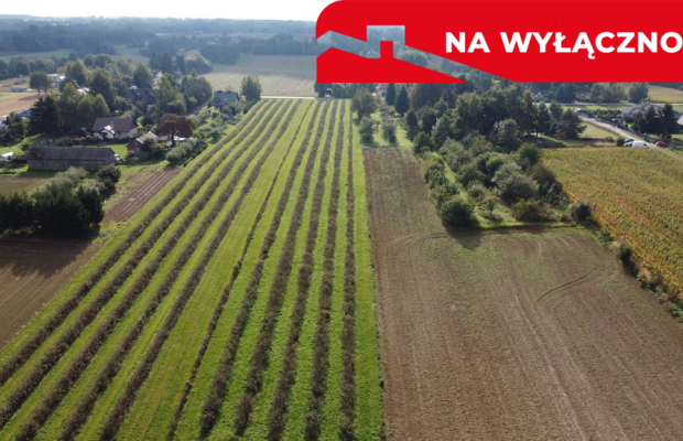 Działka, Motycz, 8.5ar, budownictwo jednorodzinne