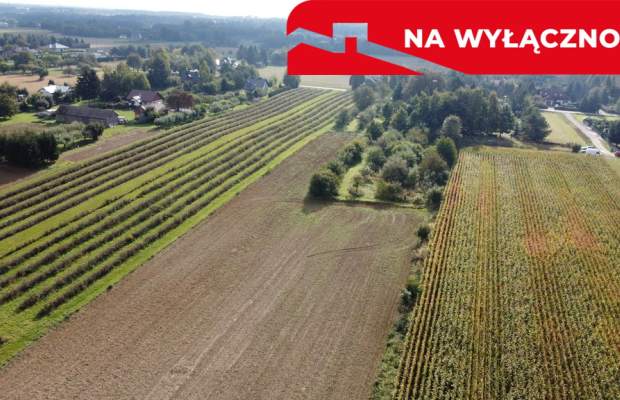 Działka, Motycz, 8.5ar, budownictwo jednorodzinne