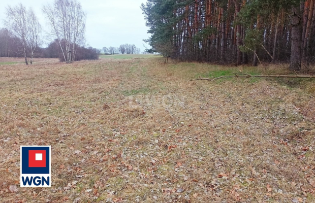 Siedlce, gmina Lubin, działka budowlana, 9787 m2, sprzedaż, 390000 zł.  
  
Działka w części budowlana położona w miejscowości 