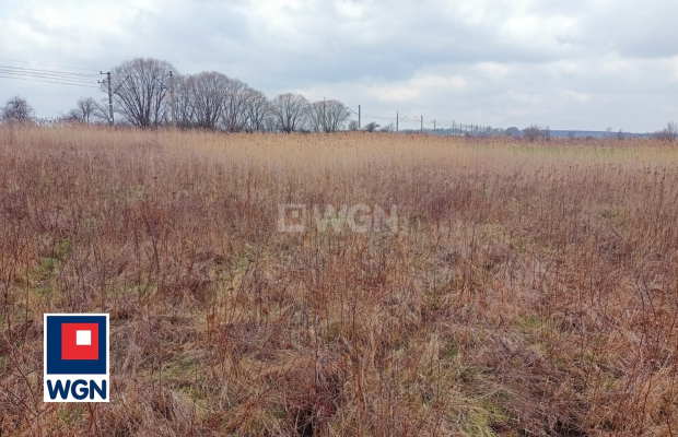 Ścinawa, działka budowlana 1200m2, sprzedaż 80000zł.  
  
Zapraszam do zapoznania się z ofertą sprzedaży działki położonej w Śc