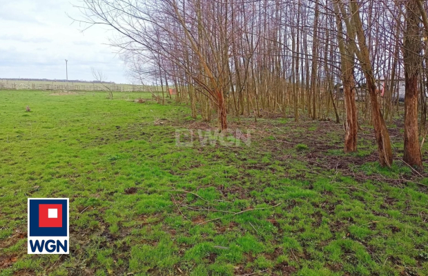 Kłobuczyn, gmina Gaworzyce, działka budowlana, 2800m2, cena 150000zł.  
  
Zapraszam do zapoznania się z ofertą gruntu budowlan