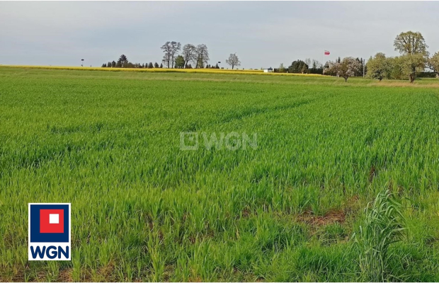 Kłobuczyn, gmina Gaworzyce, działka budowlana, 2244m2, cena 85 000zł.  
  
Zapraszam do zapoznania się z ofertą działek budowla