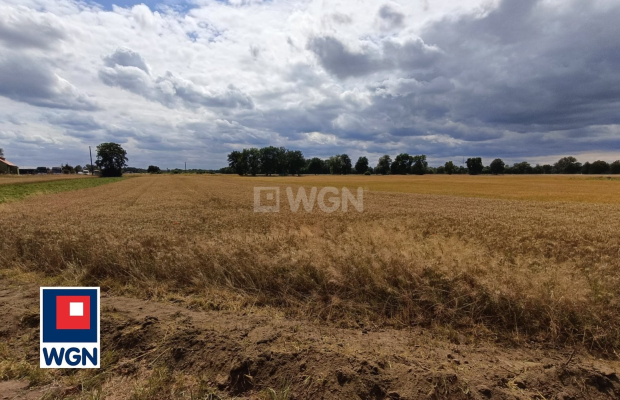 Szymocin, gm Grębocice, działka budowlana 1500, cena 115 000zł.  
  
  
Zapraszamy do zapoznania się z ofertą działek budowlany