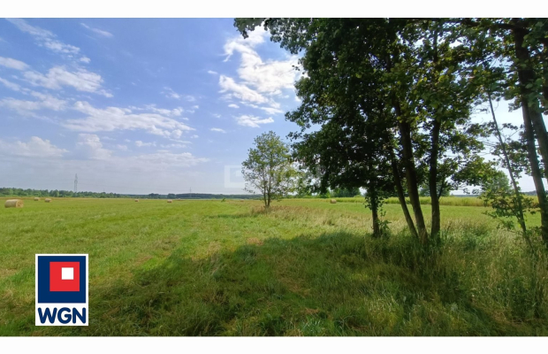 Jędrzychów, działka rolna, 7000m2, 150 000zł, sprzedam.


Zapraszam do zapoznania się z ofertą działki rolnej położonej w miejs