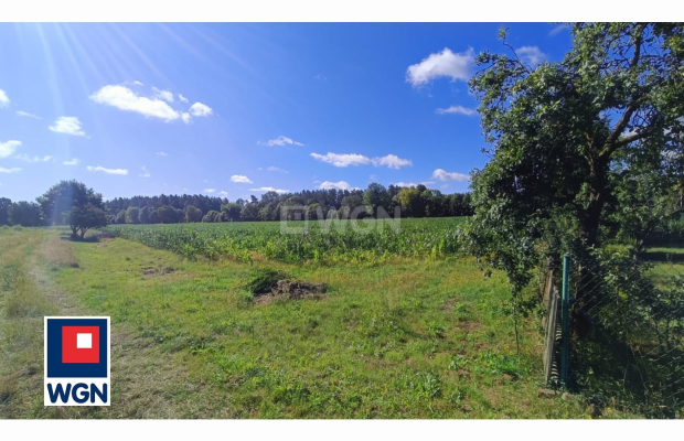 Szklarki, gmina Przemków, powiat polkowicki, działka rolna, 6400m2, sprzedam, 99 000 zł.  
  
Zapraszam do zapoznania się z ofe