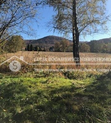 Obniżka ceny!!! 
 
Atrakcyjna działka w Jaworzu z własnym potokiem górskim - TERAZ 650 000 zł brutto! 

 Marzysz o ucieczce od 