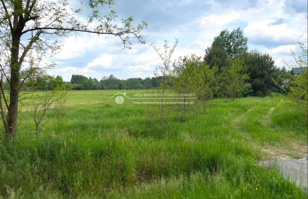 Na sprzedaż działka budowlana o pow. 41 064  m2. W dobrej lokalizacji drogi powiatowej prowadzącej na Nisko, Stalową Wolę.  

 