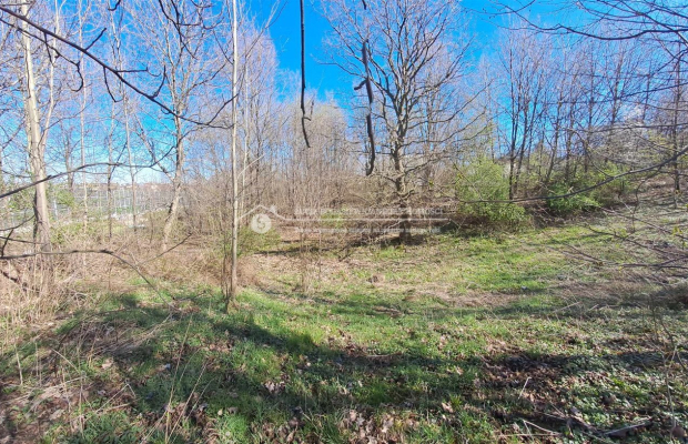 Do sprzedania  grunt w Bielsku-Białej  składający się z dwóch działek o łącznej powierzchni 51 arów. 
 
Działki położone są w B