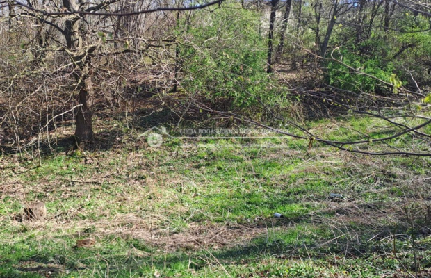 Do sprzedania  grunt w Bielsku-Białej  składający się z dwóch działek o łącznej powierzchni 51 arów. 
 
Działki położone są w B