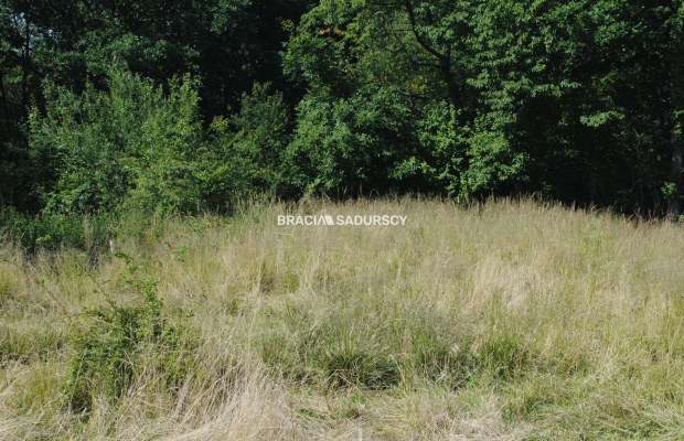 Nieruchomośc przy lesie w Chorowicach