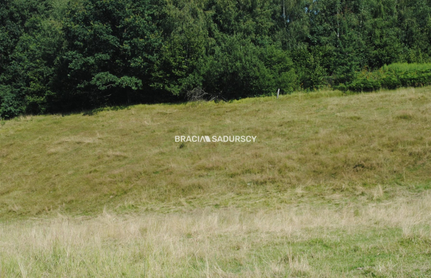 Nieruchomośc przy lesie w Chorowicach