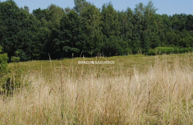 Nieruchomośc przy lesie w Chorowicach