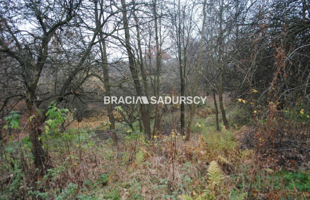 Do sprzedania nieruchomość o powierzchni ponad 1,7 ha  w miejscowości Libertów gm.Mogilany, Według aktualnego planu zagospodaro