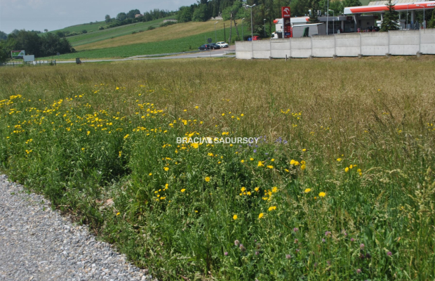 Duża działka usługowa w rejonie drogi nr 94 w     