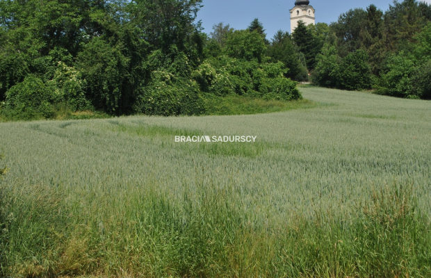 Duża działka inwestycyjna w Brzeziu gm.Kłaj