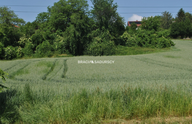 Duża działka inwestycyjna w Brzeziu gm.Kłaj