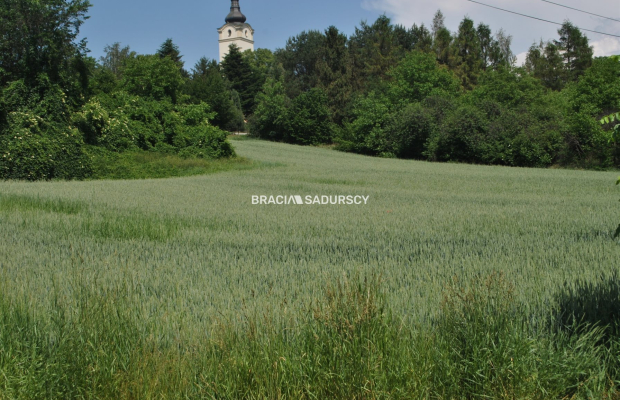 Duża działka inwestycyjna w Brzeziu gm.Kłaj