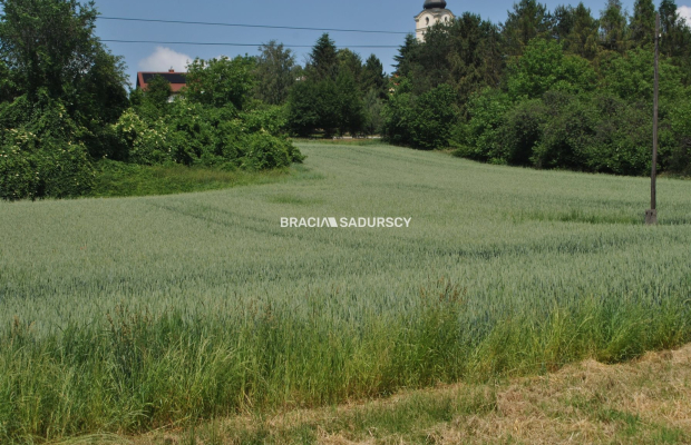 Duża działka inwestycyjna w Brzeziu gm.Kłaj