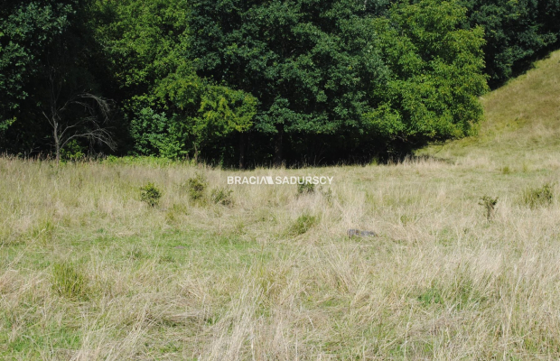 Duża nieruchomośc przy lesie w Chorowicach