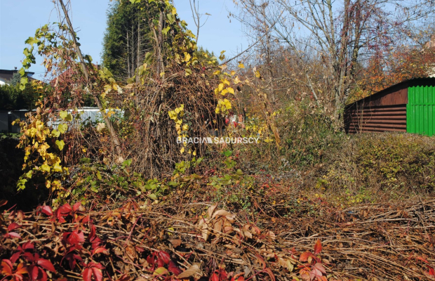 Atrakcyjna nieruchomość w Brzesku-Królowej Jadwigi