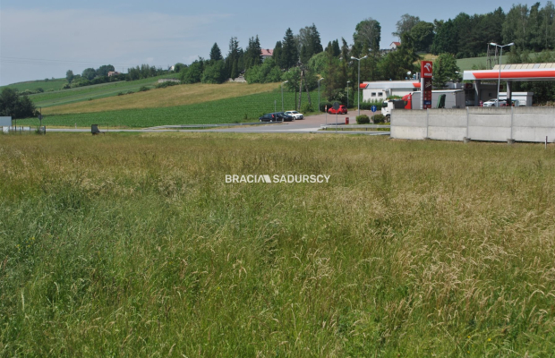 Działka inwestycyjna w Brzeziu gm.Kłaj