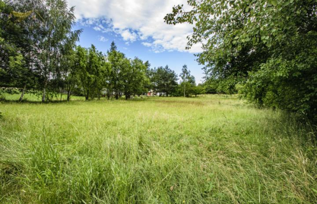 DZIAŁKA BUDOWLANA W GRODZISZCZU/ WIDOK NA GÓRY