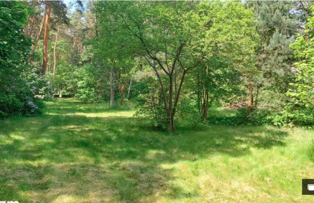 działka w Michalinie