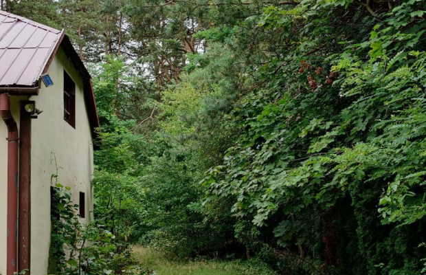 działka w Michalinie