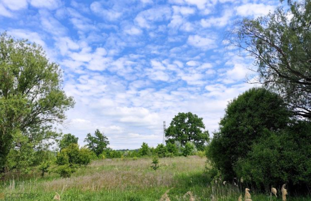 Bogato wyposażony dom z dostępem do własnego parku!