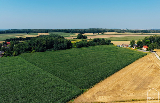 Działki na sprzedaż, powierzchnie od 626 do 813 m2