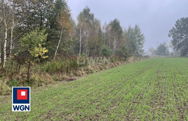 Sieraków, gmina Szprotawa, działka rolna, 23800 m2, sprzedaż, 139 000 zł.  
  
Na sprzedaż grunt rolny klasy III w miejscowości