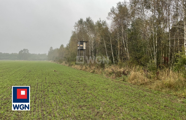 Sieraków, gmina Szprotawa, działka rolna, 23800 m2, sprzedaż, 139 000 zł.  
  
Na sprzedaż grunt rolny klasy III w miejscowości