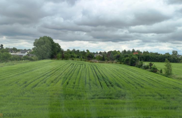 Segment z ogrodem idealny dla Ciebie!